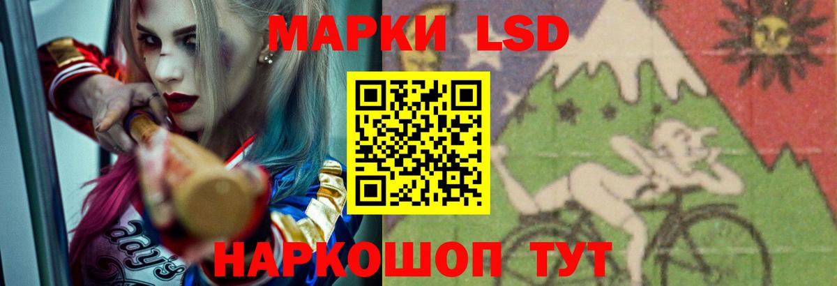 blacksprut ССЫЛКА  Вход с VPN  Ирбит  Лсд 25 экстази кислота  Лсд 25 экстази 